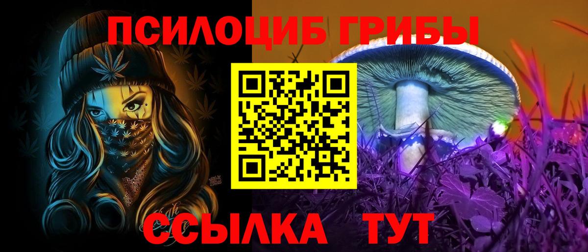 Галлюциногенные грибы Psilocybine cubensis  Вход с VPN  Тимашёвск  Галлюциногенные грибы Psilocybe 