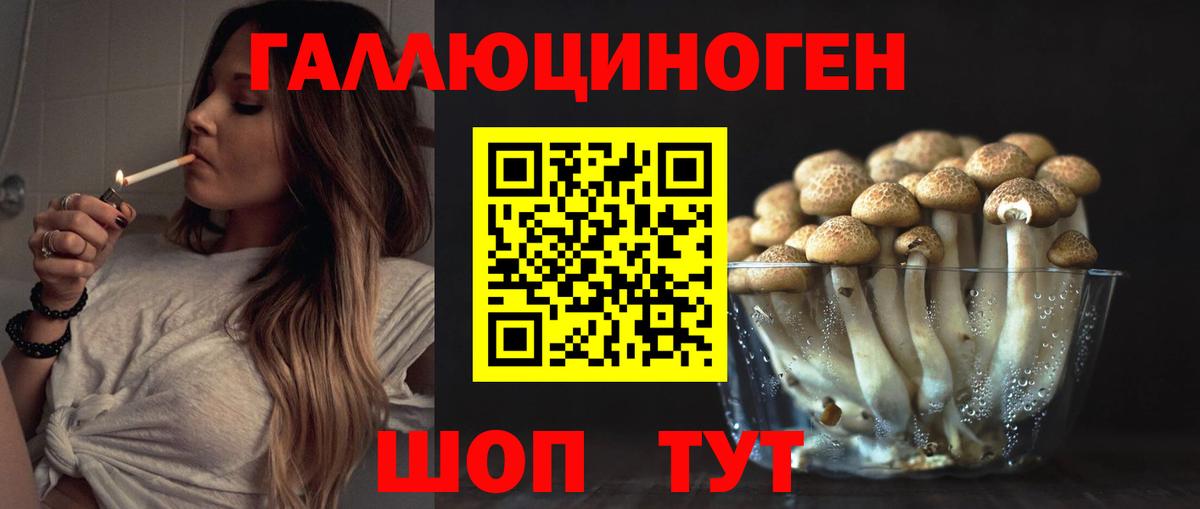 Псилоцибиновые грибы мухоморы Тимашёвск